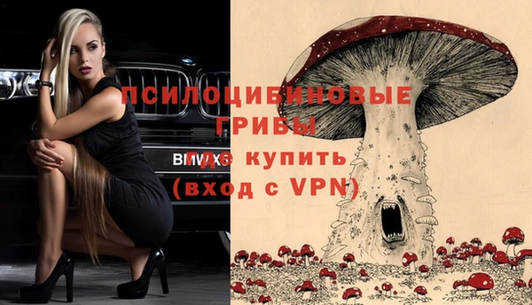 наркотики Алексин