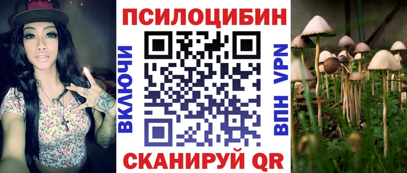 Псилоцибиновые грибы Cubensis  Урус-Мартан 