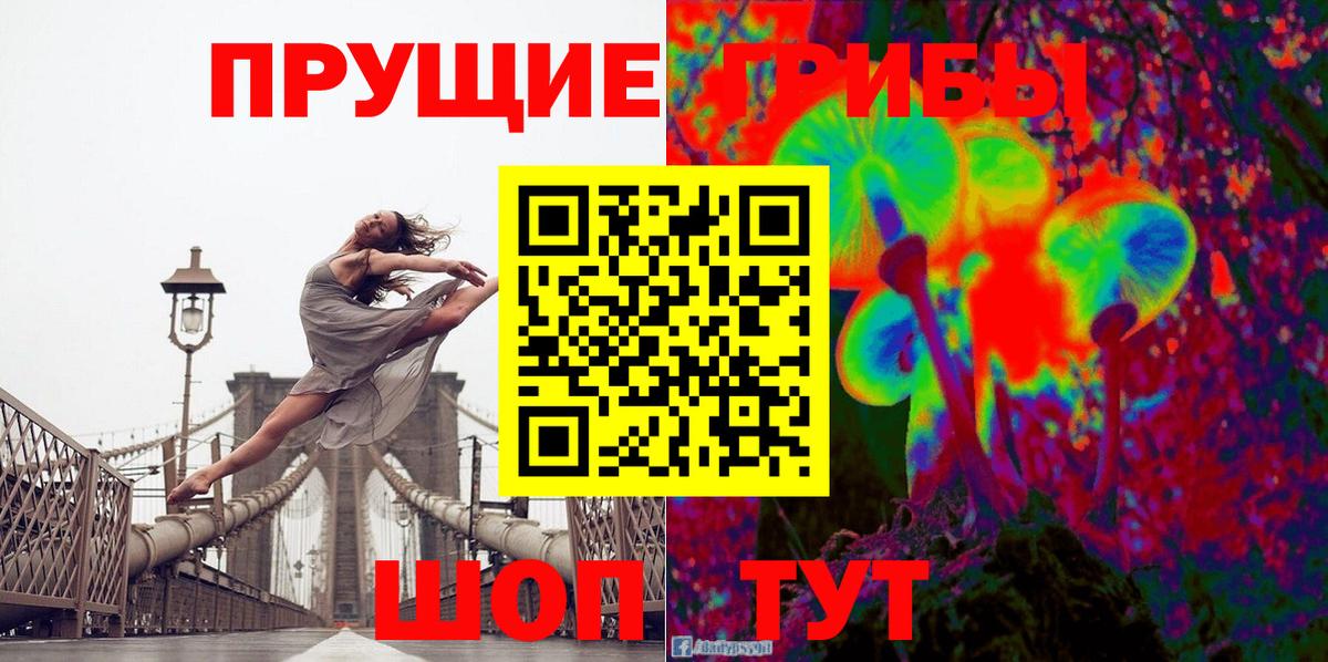 Урус-Мартан  Псилоцибиновые грибы Psilocybe  Вход с VPN  Псилоцибиновые грибы Magic Shrooms 