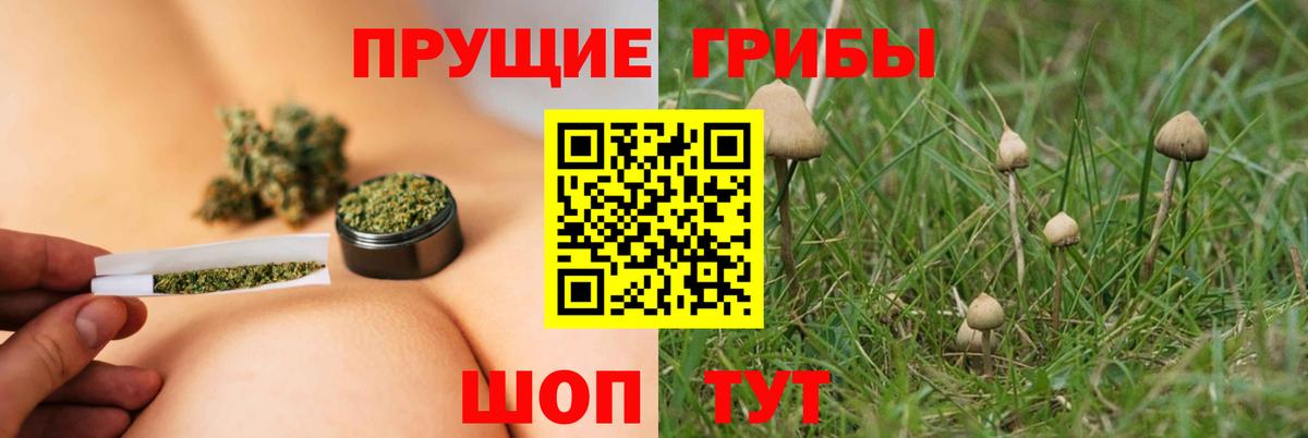 Галлюциногенные грибы ЛСД Урус-Мартан